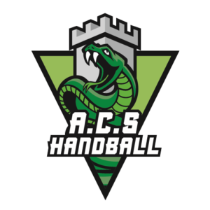 AC SEYSSINET HANDBALL